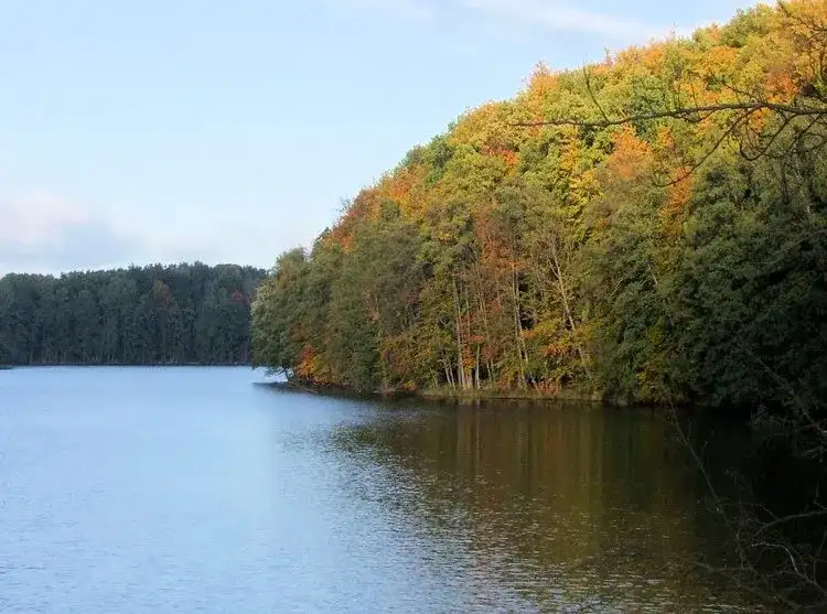 Zalew Koszycki: Odkryj raj dla wędkarzy i miłośników natury