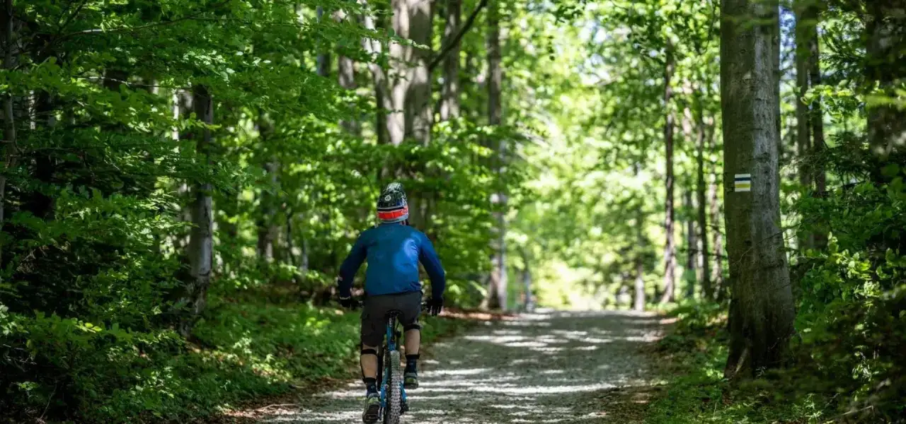 Rowerzysta na leśnej ścieżce z niebieskim szlakiem turystycznym.