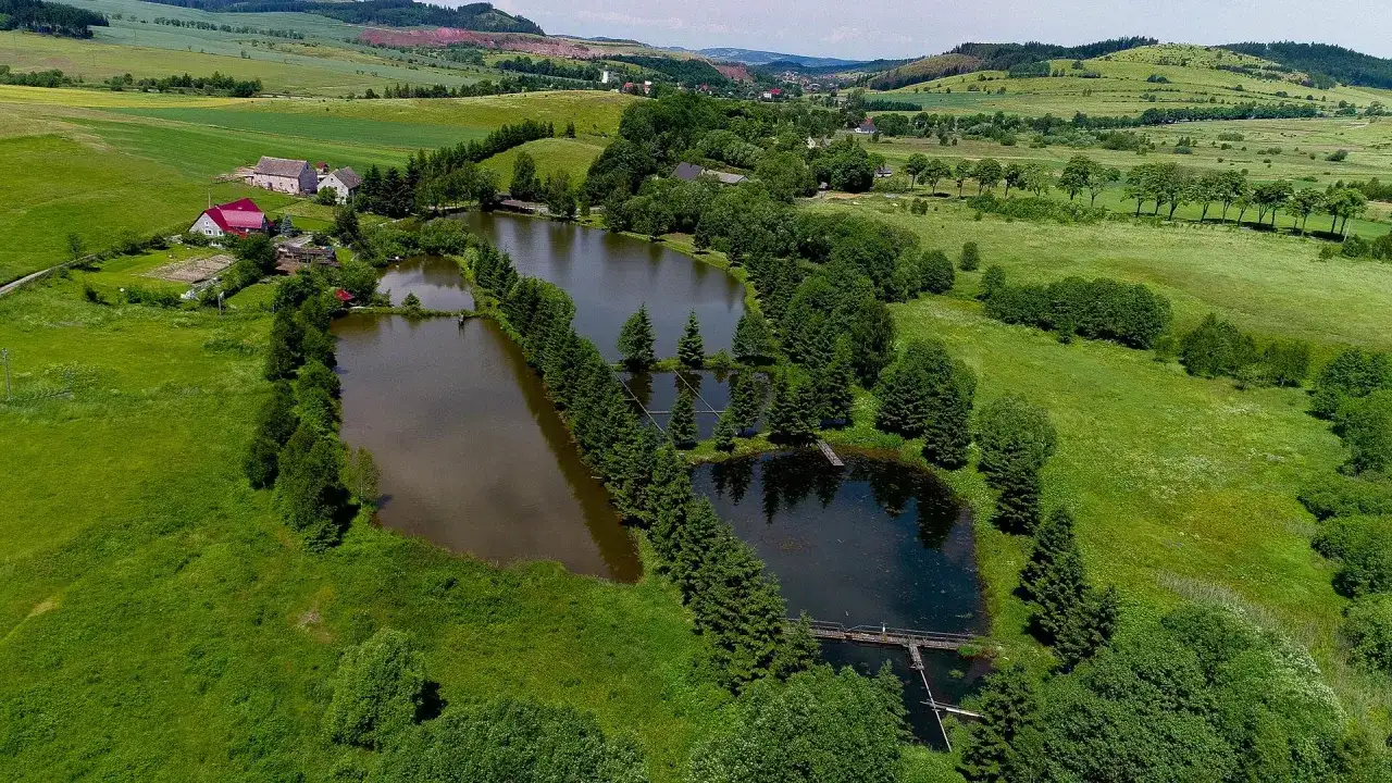 Widok z lotu ptaka na stawy rybne otoczone zielenią, z domami w tle.