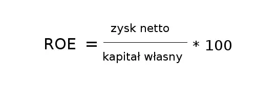 ROE: Jak ocenić rentowność i atrakcyjność spółki?