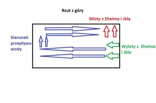 Prawidłowe ustawienie wylotu filtra w akwarium - kompletny poradnik