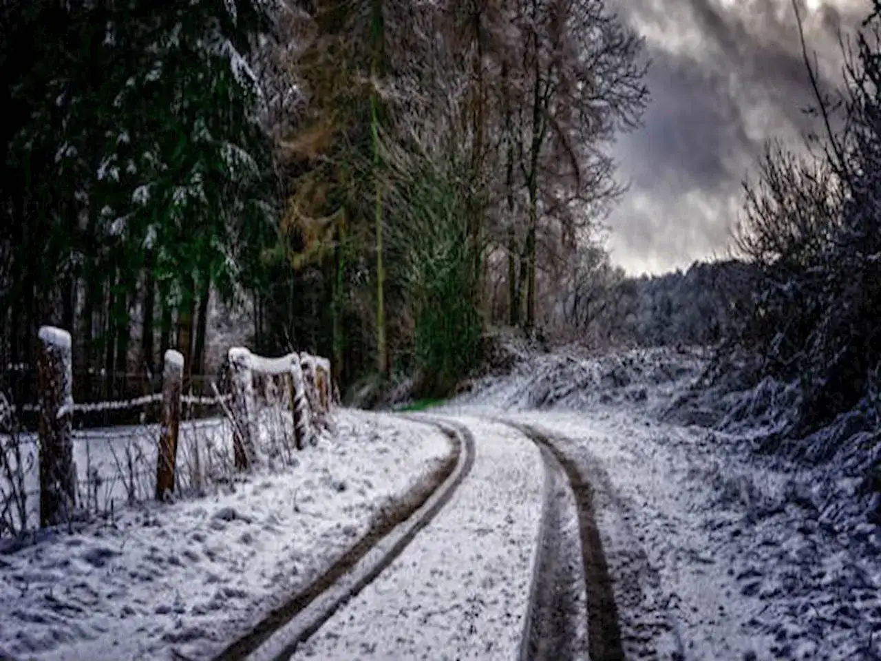 Opony wielosezonowe jakie wybrać: najlepsze modele dla każdego kierowcy