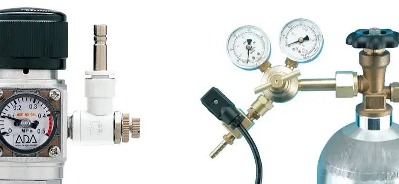 Ile CO2 w akwarium tabela – uniknij problemów z rybami i roślinami