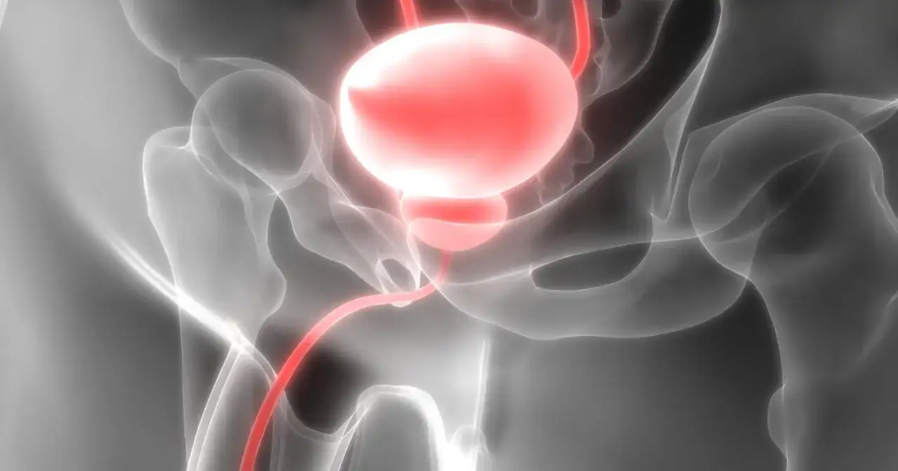 Jak wygląda wizyta u urologa kobieta - co musisz wiedzieć przed wizytą