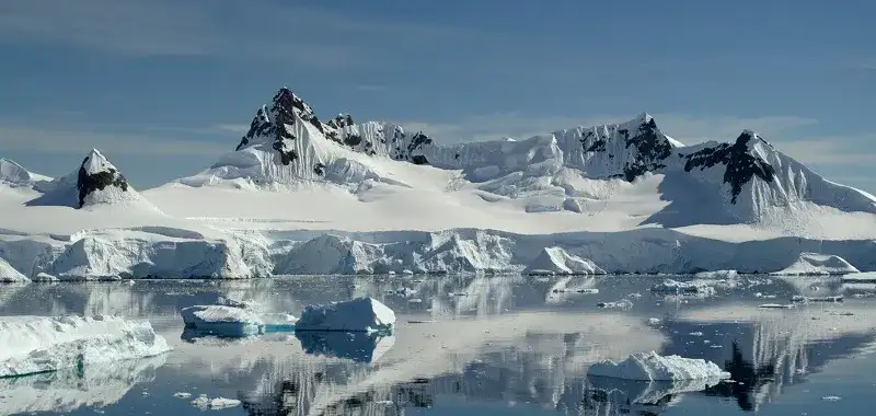 najlepsze filmy przyrodnicze na Netflix i innych platformach