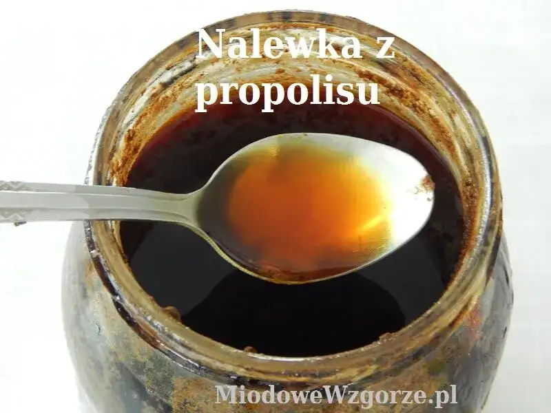 Nalewka z propolisu: Na co pomaga? Zastosowanie i dawkowanie