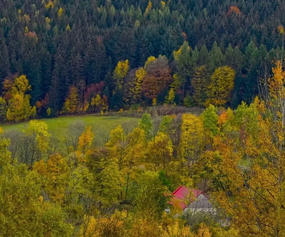 Nowe rezerwaty przyrody Dolny Śląsk: Odkryj ich unikalne piękno
