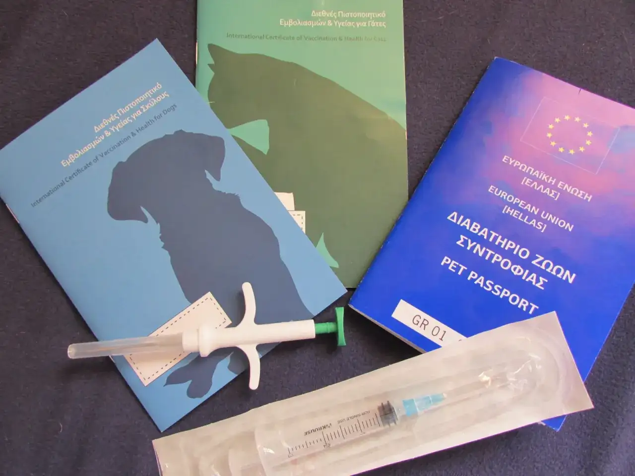 Przewóz kota z Grecji do Polski: Krok po kroku, bez stresu i koszty