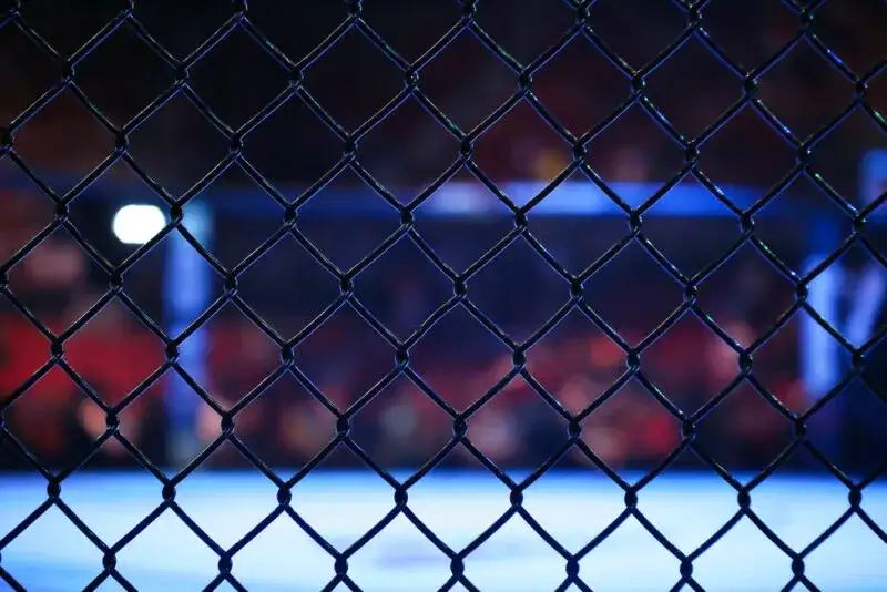 Jak wykupić walki KSW i nie przepłacać za transmisję online