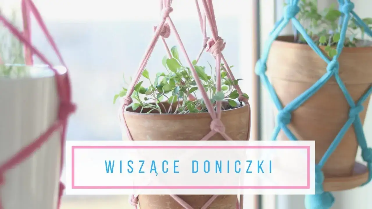 Jak zrobić wiszącą doniczkę - proste sposoby i materiały, które zaskoczą
