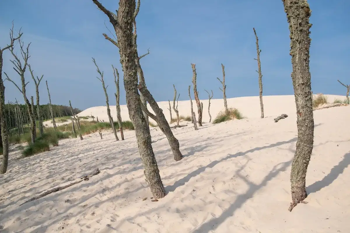 Łeba: Atrakcje, które musisz zobaczyć! Parki, wydmy i więcej