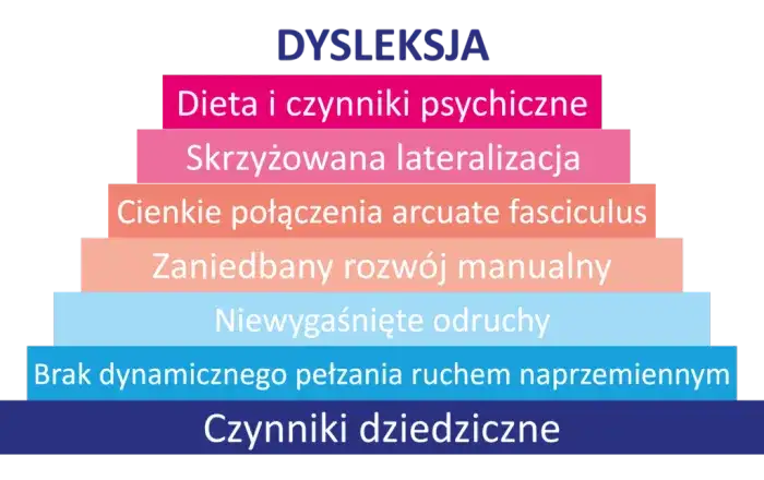 Dysleksja: zrozum, zdiagnozuj, wspieraj. Nie jest wyrokiem!