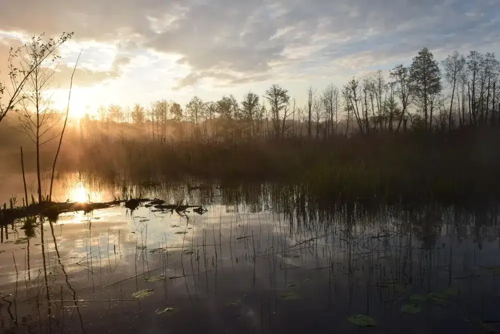 Rezerwat przyrody Trzy Jeziora - odkryj jego unikalne piękno i faunę