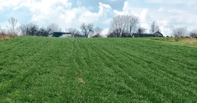 Działka jako wkład własny do kredytu - sprawdź możliwości