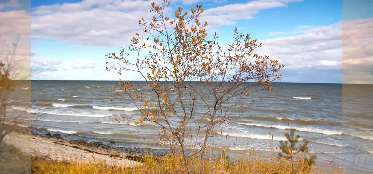 Jod nad Bałtykiem: Hel, Ustka, Łeba gdzie i kiedy po zdrowie?