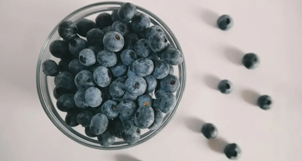 Szklana miska pełna borówek, kilka rozsypanych obok. Czy koty mogą borówki? To pytanie nurtuje wielu właścicieli.