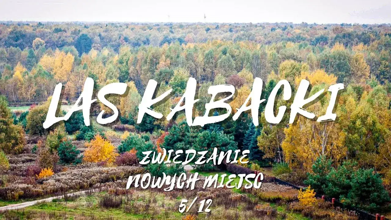 Najlepsze atrakcje w Lesie Kabackim – odkryj tajemnice natury