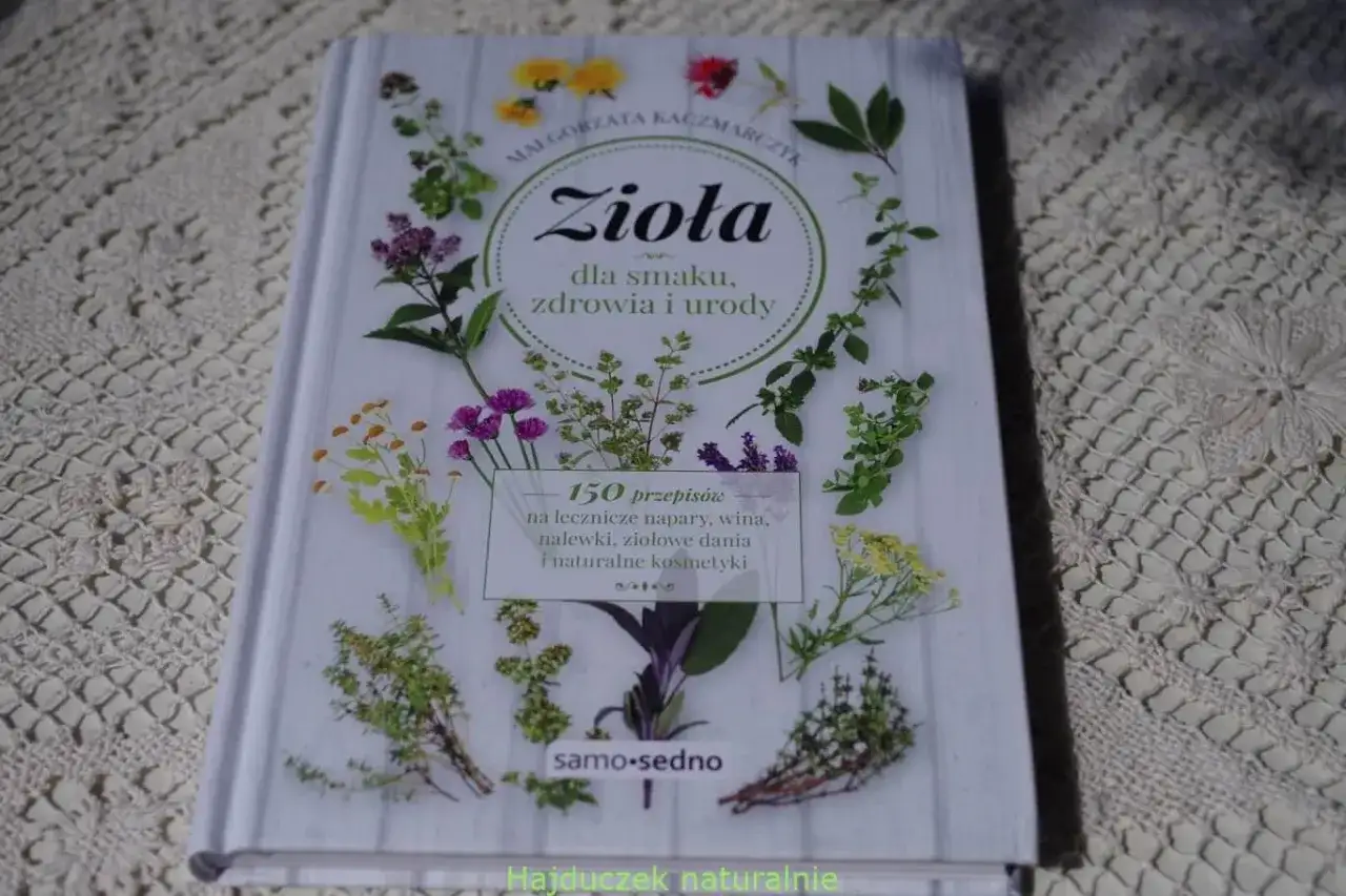 Polskie zioła na herbatę: Od łąki do filiżanki zdrowia i smaku