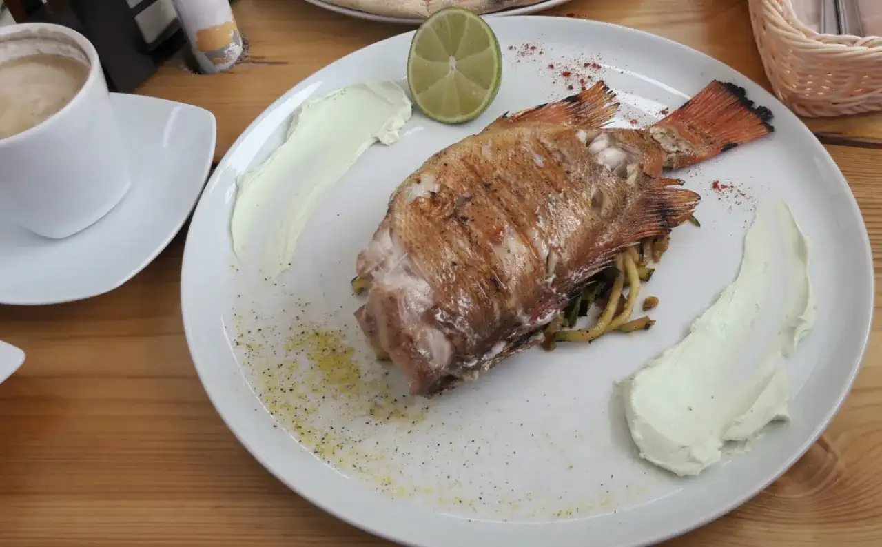 Ryba z grilla z sosem i limonką na talerzu w karczmie krynickiej Krynica Morska.