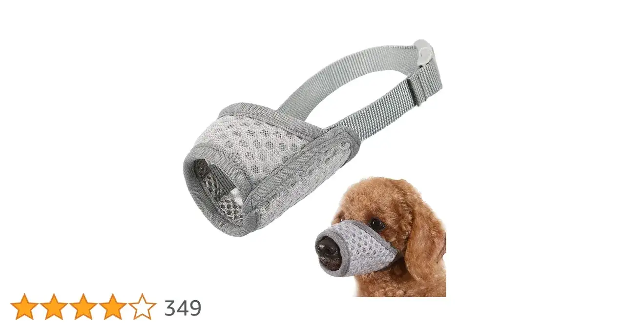 Kaganiec dla psa: Zmierz pupila idealnie! Zapas na ziajanie to klucz