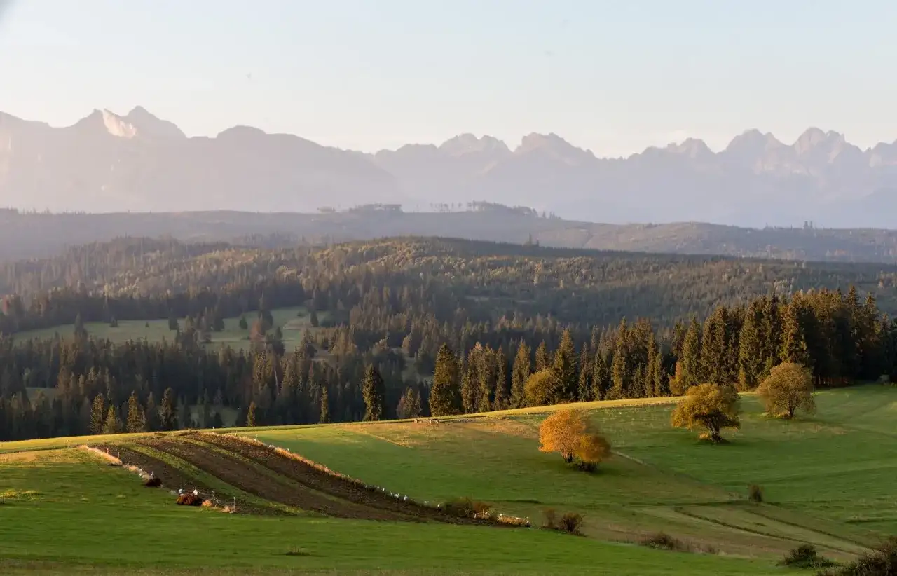 Widok na Tatry z Białki Tatrzańskiej. Złote słońce oświetla zielone pola i lasy, a w oddali majaczą góry.