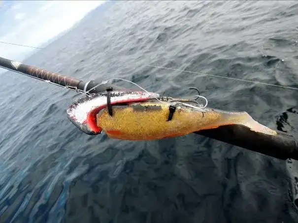 Najlepsze przynęty na halibuta, które zwiększą Twoje szanse na sukces