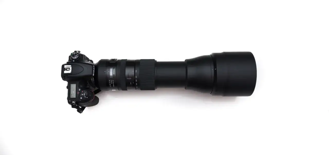 Jaki obiektyw do czego wybrać? Poradnik dla początkujących i zaawansowanych fotografów