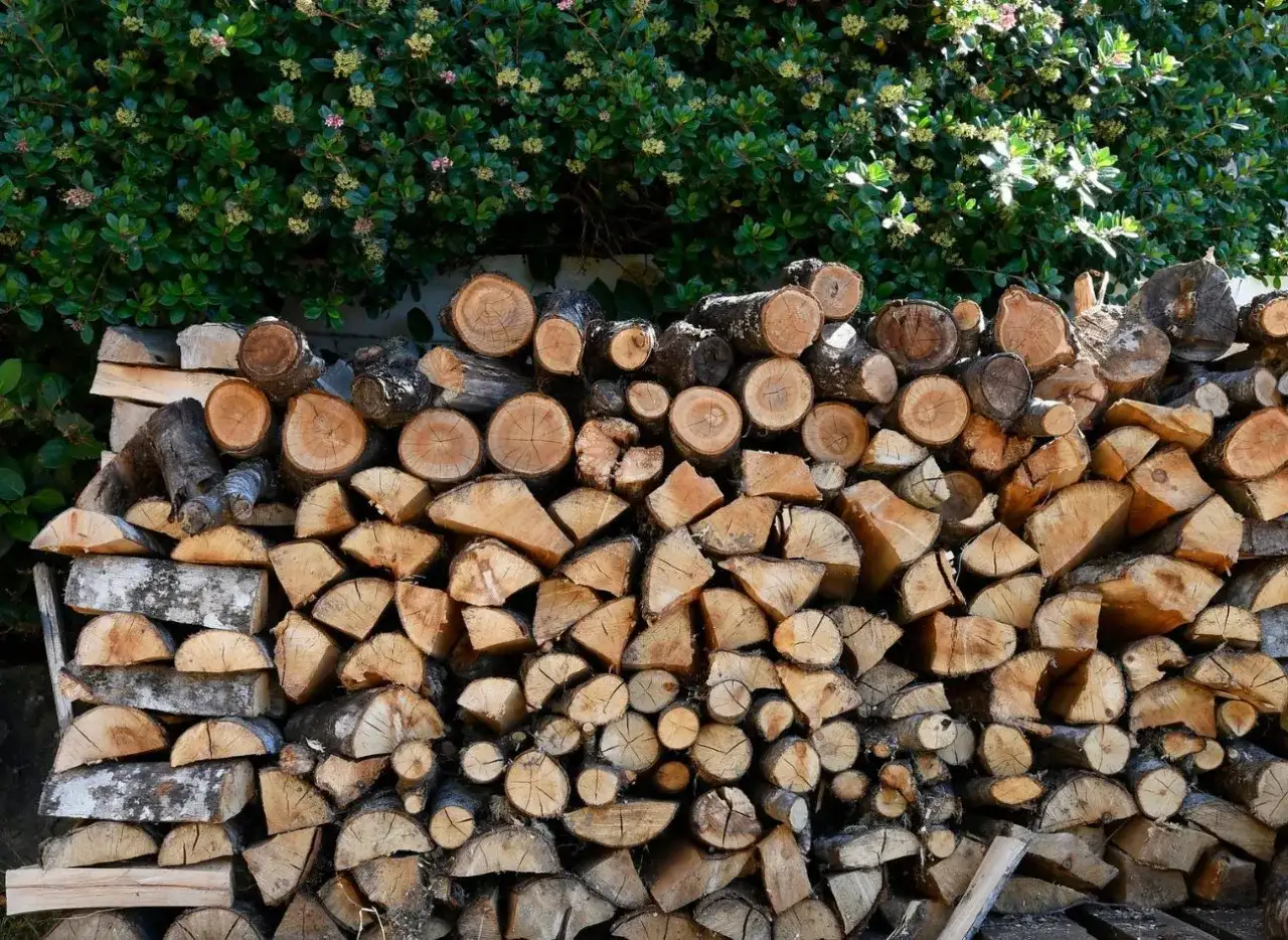 Czy olcha nadaje się do kominka? Zalety i wady tego drewna opałowego