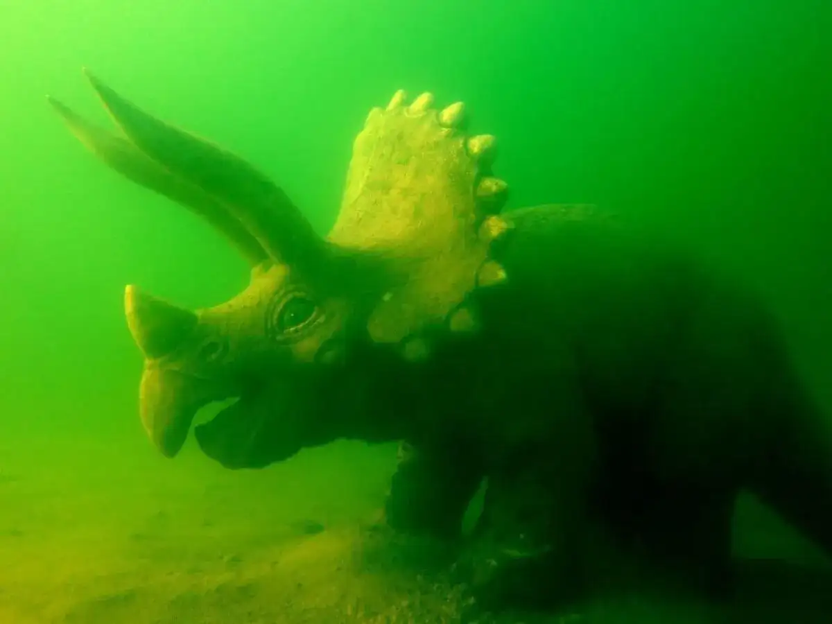 Zanęta na jesiotra: Przepisy i taktyki na "podwodnego dinozaura"