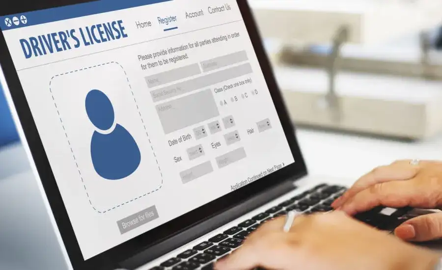 Jak szybko i bez problemów sprawdzić dane w Centralnej Ewidencji Kierowców?