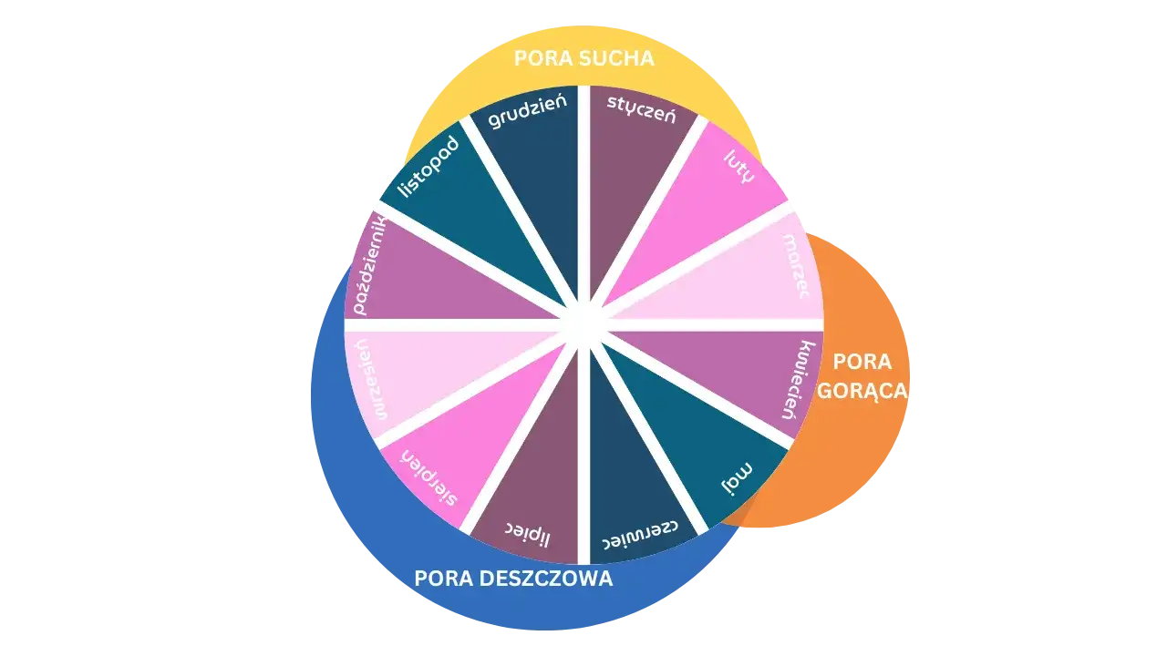 Kiedy najlepiej jechać do Tajlandii, aby uniknąć deszczu i tłumów?