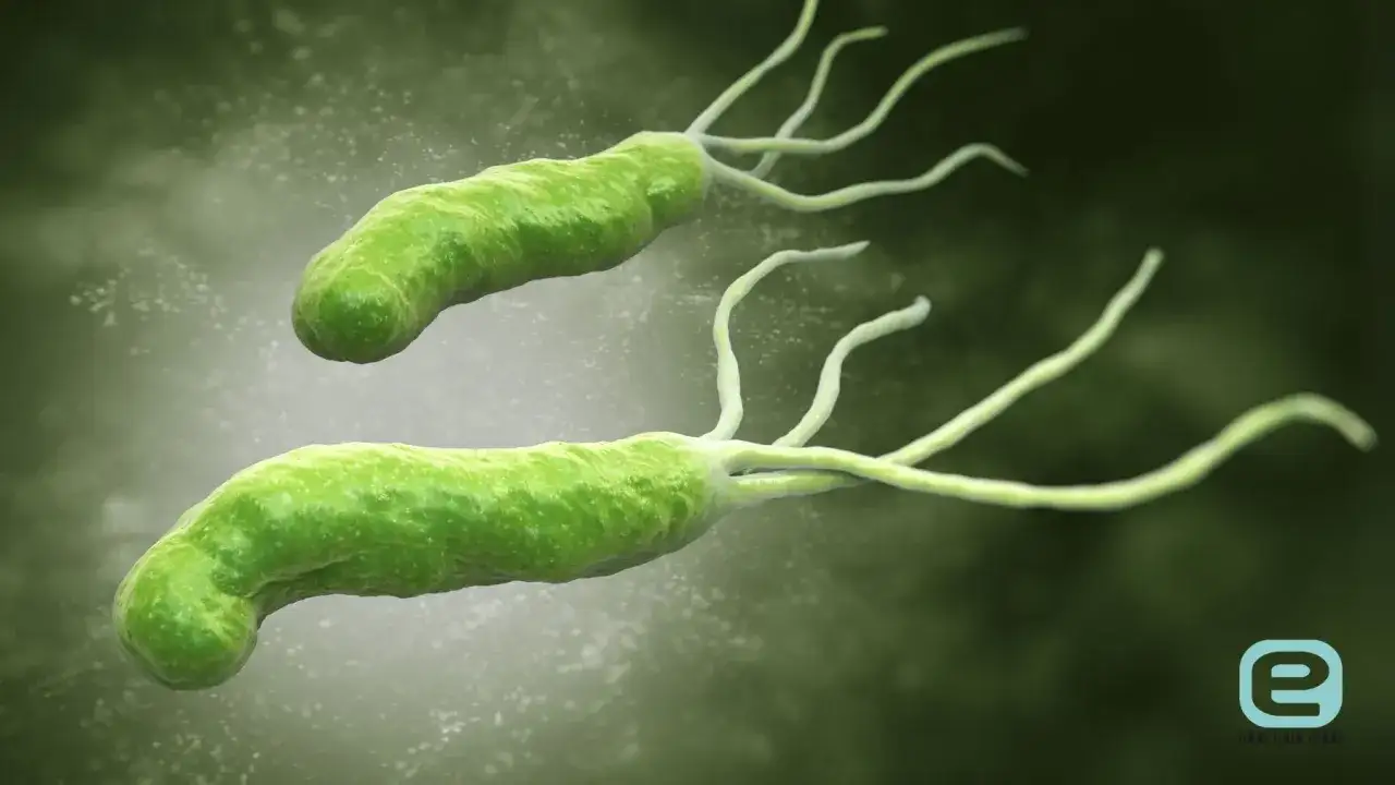 H. pylori w ustach? Sprawdź 7 objawów, które musisz znać!