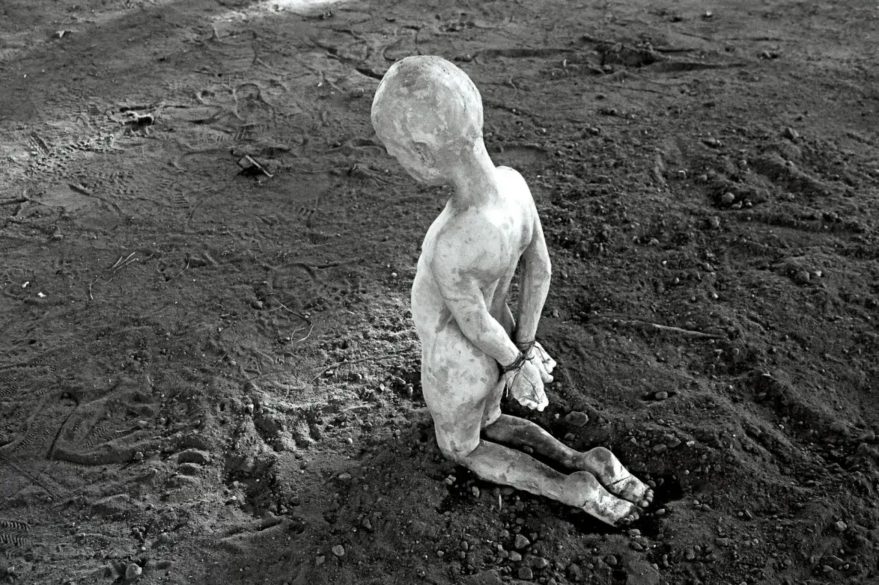 Tomasz Górnicki: Rzeźbiarz, który zmienia sztukę. Poznaj jego dzieła!