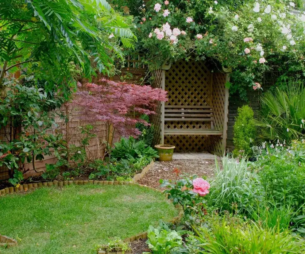 Co posadzić na działce rekreacyjnej, aby cieszyć się pięknem i plonami?