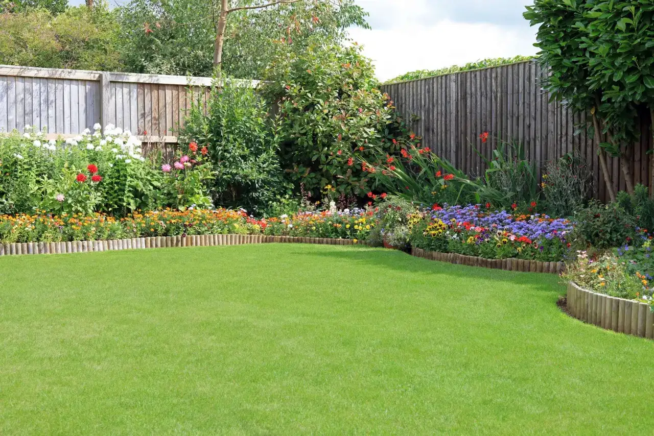 Co na ogrodzenie zamiast tui - najlepsze rośliny do Twojego ogrodu
