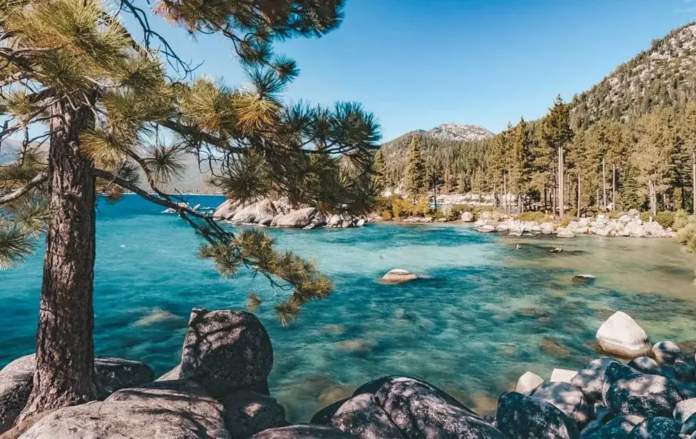 Najlepsze atrakcje w okolicy, które musisz zobaczyć w tym roku