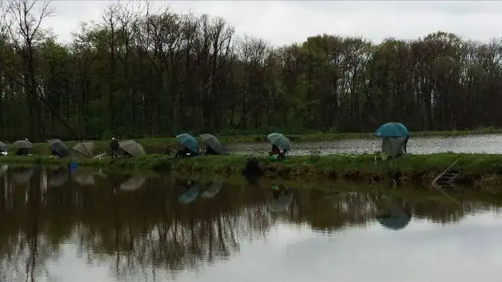 Łowisko Szachty opinie: Co wędkarze myślą o jakości połowów?
