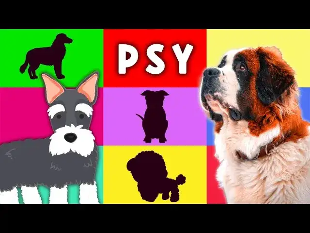 Zagadki o psie: Gotowe pomysły. Baw się z dziećmi i dorosłymi!