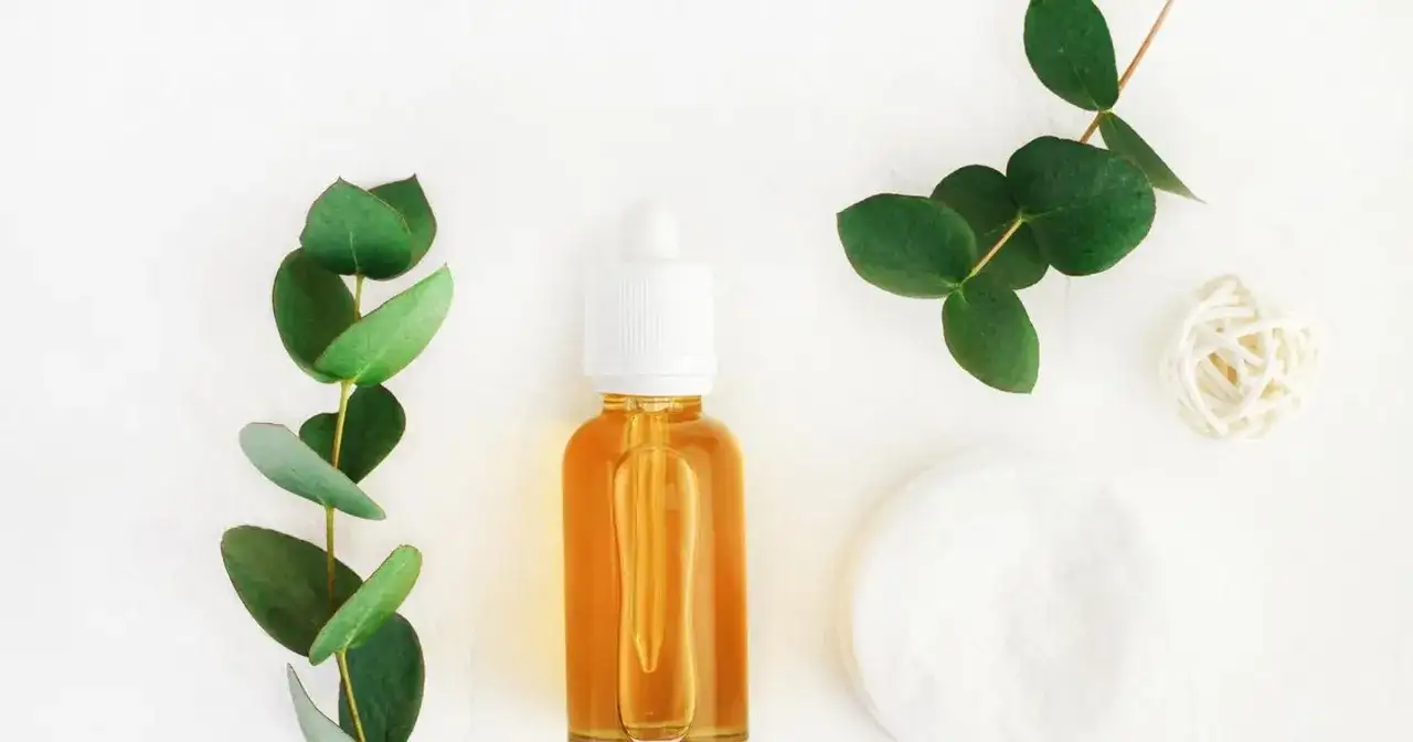 Olejek eukaliptusowy: Na co pomaga? Oddech, ból, umysł i dom