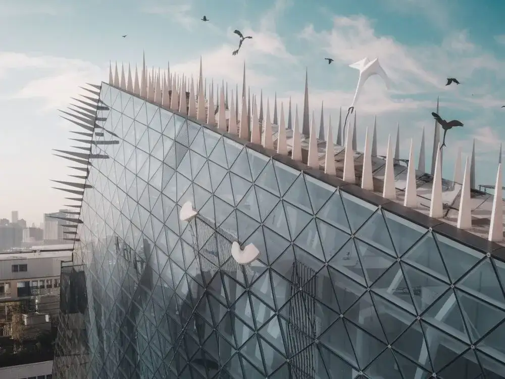 Jak zabezpieczyć okna przed jaskółkami i uniknąć ich gniazdowania