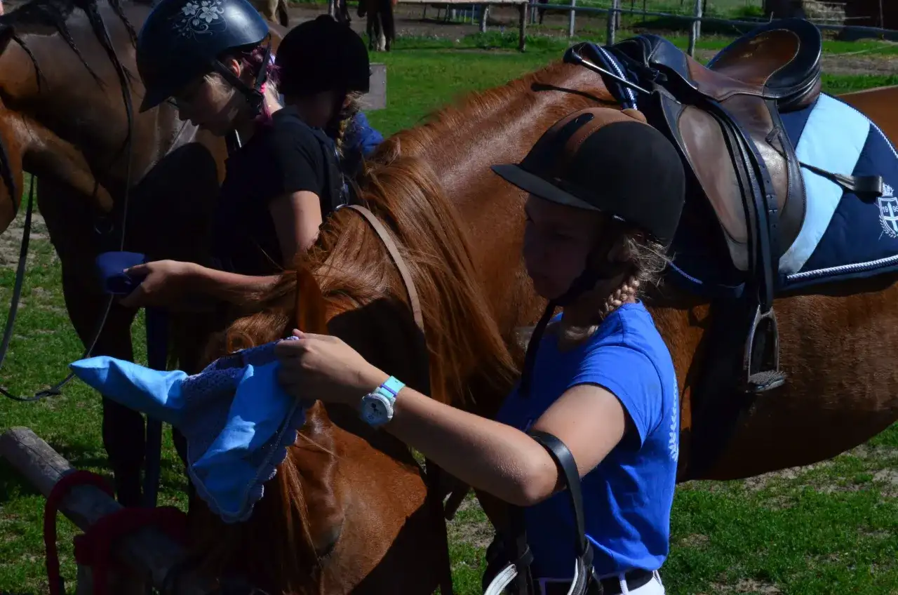 Klub jeździecki Maciejówka MOSiR Zabrze - jazda konna dla każdego