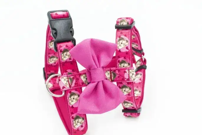 Obroża czy szelki dla Shih Tzu - co jest bezpieczniejsze i lepsze?