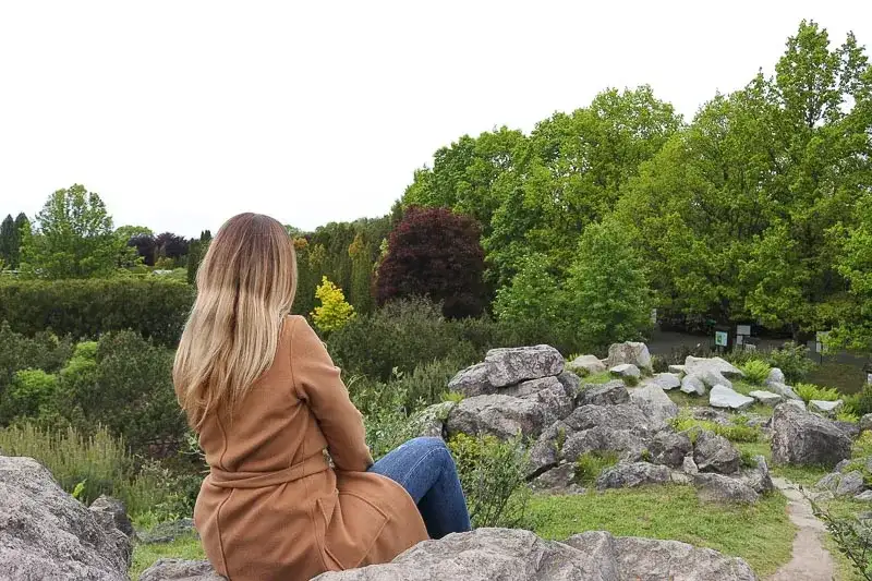 Kiedy najlepiej jechać do Powsina, by nie przegapić piękna natury