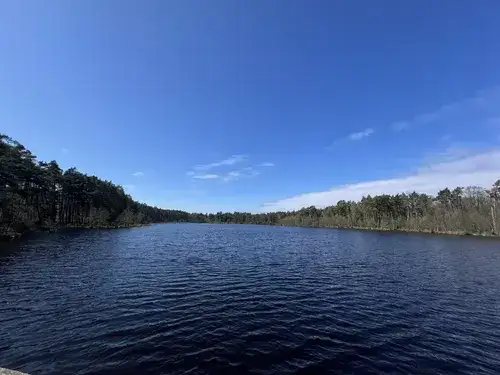 Jezioro Dołgie Wielkie - odkryj jego tajemnice i atrakcje przyrodnicze