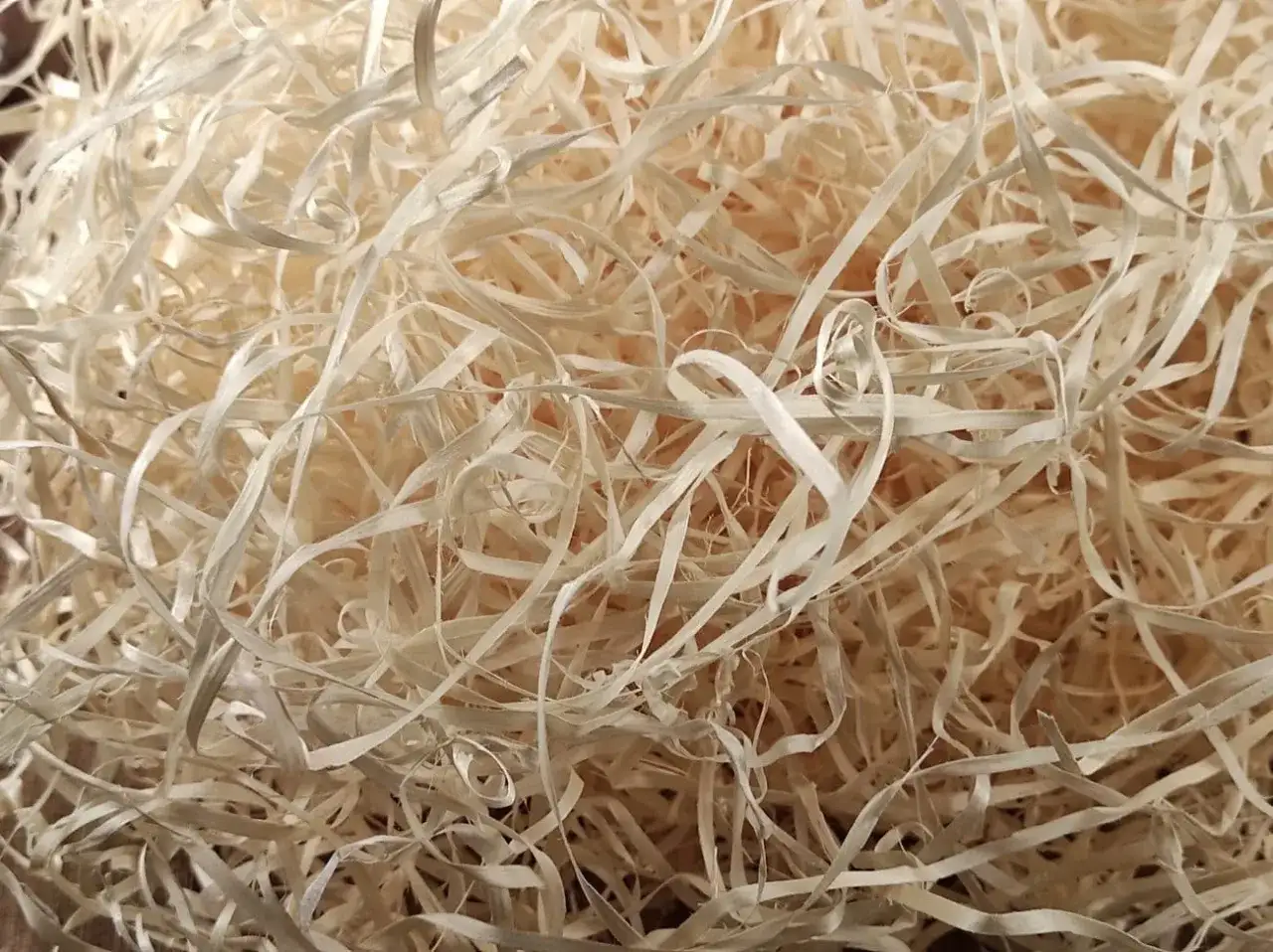 Wełna drzewna: Gdzie kupić? Sprawdź oferty online i stacjonarnie