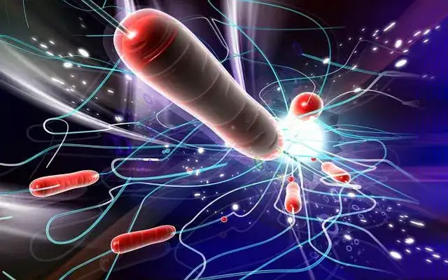 Czy cholera to grzech? Prawda o moralnych konotacjach choroby