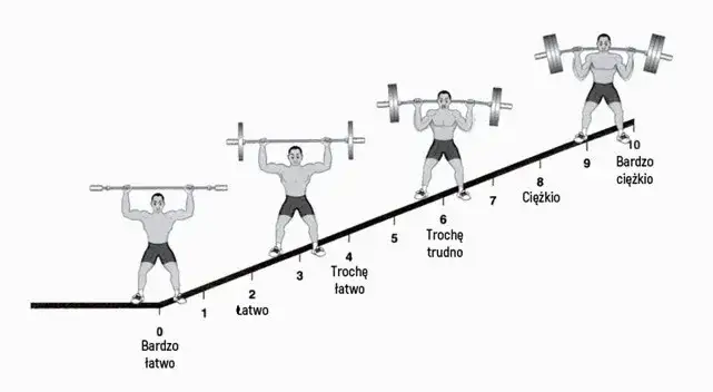  Trening FBW dla początkujących - plan na zbudowanie masy mięśniowej od podstaw
