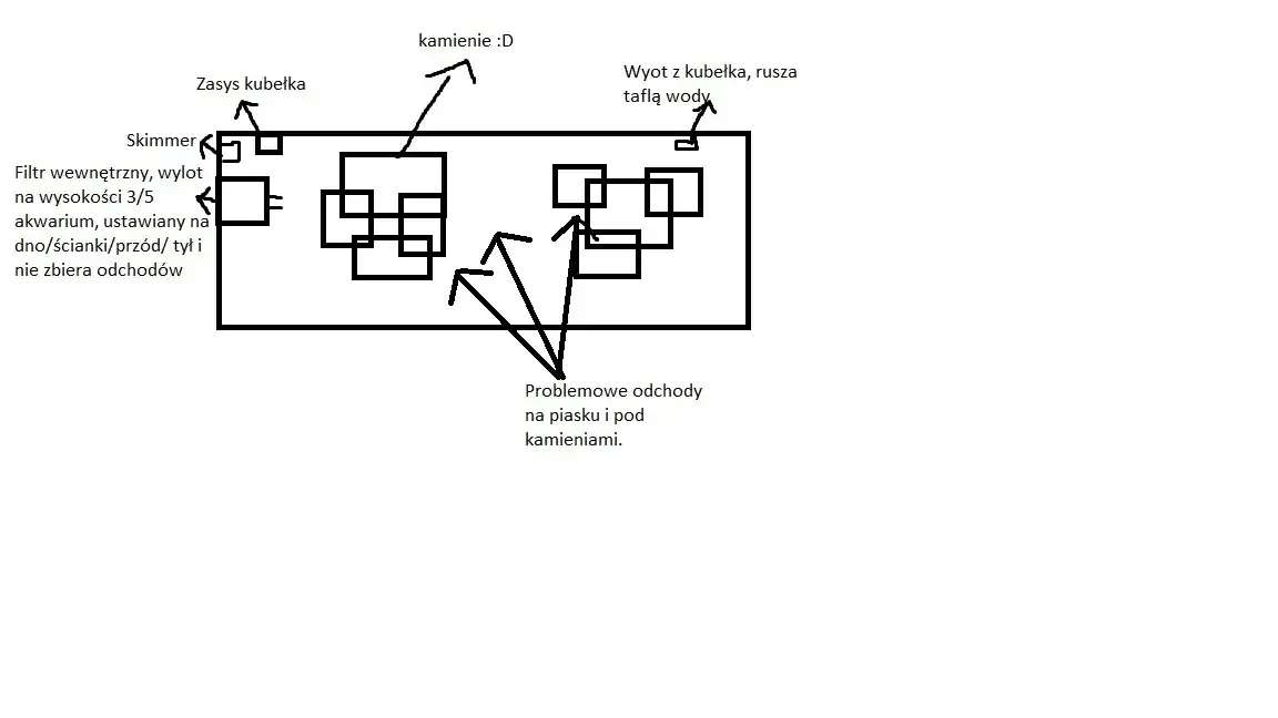Jak prawidłowo ustawić filtr w akwarium, aby uniknąć problemów z wodą