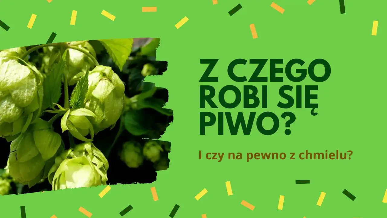 Z czego jest piwo? Poznaj składniki, które kształtują smak piwa