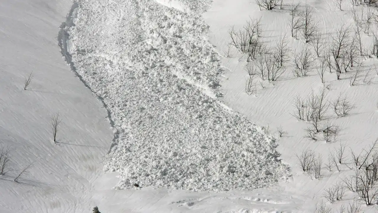 Śnieżna masa po zejściu lawiny w Tatrach, z widocznymi nagimi drzewami na zboczu.